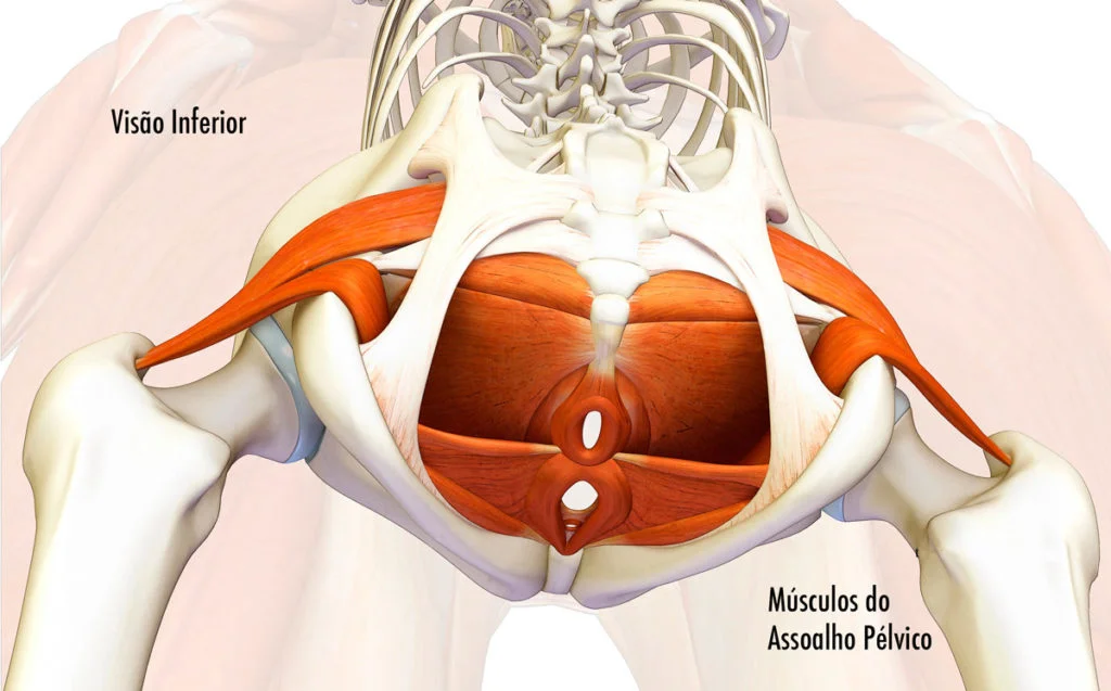 Fisioterapia após o Parto – Dra. Suellen Feitosa